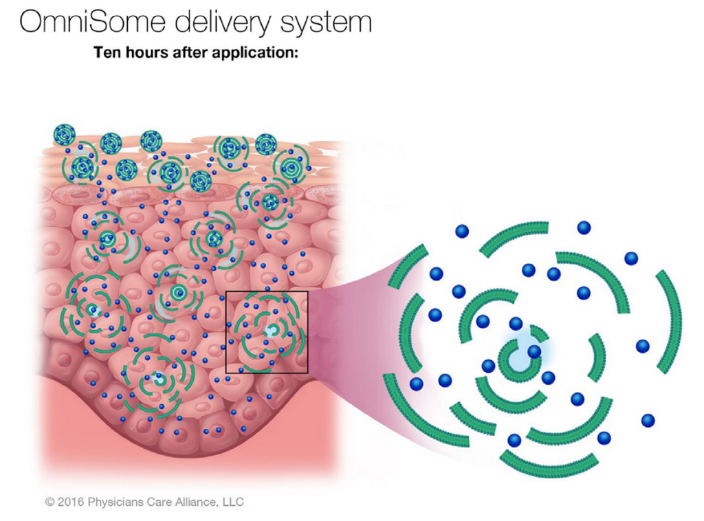 The Science Behind PCA Skin's High-Performing Formulations: Omnisome Explained